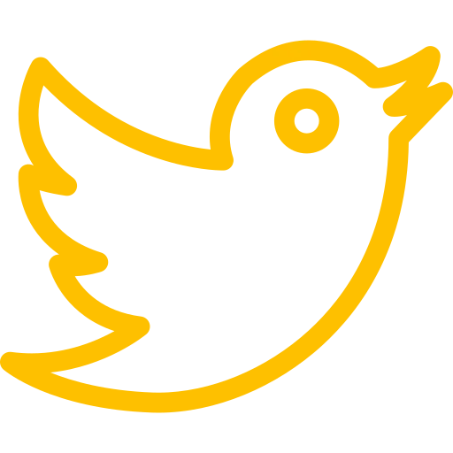 DM Twitter